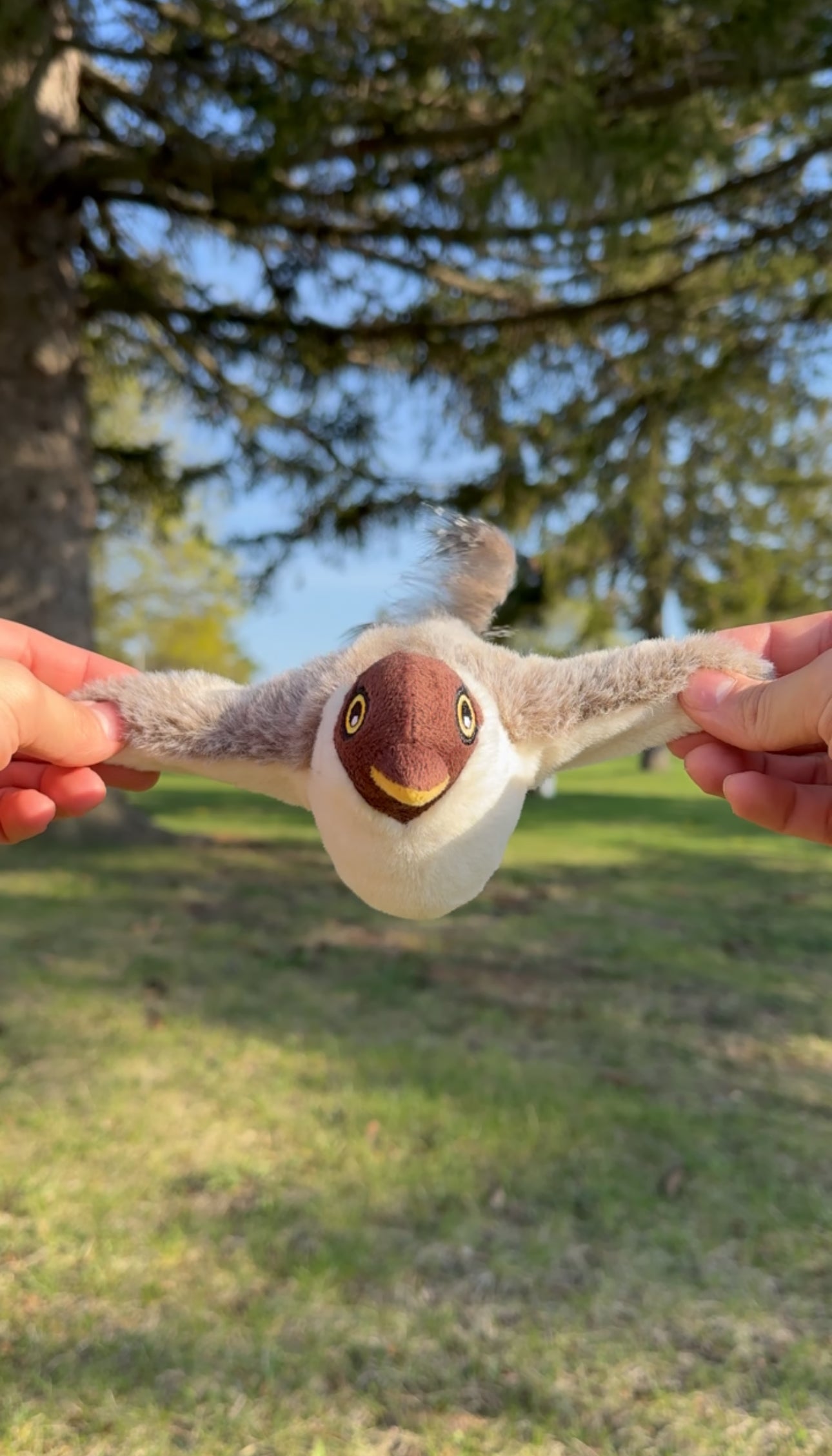 Flappy Birdy Interactive Cat Toy