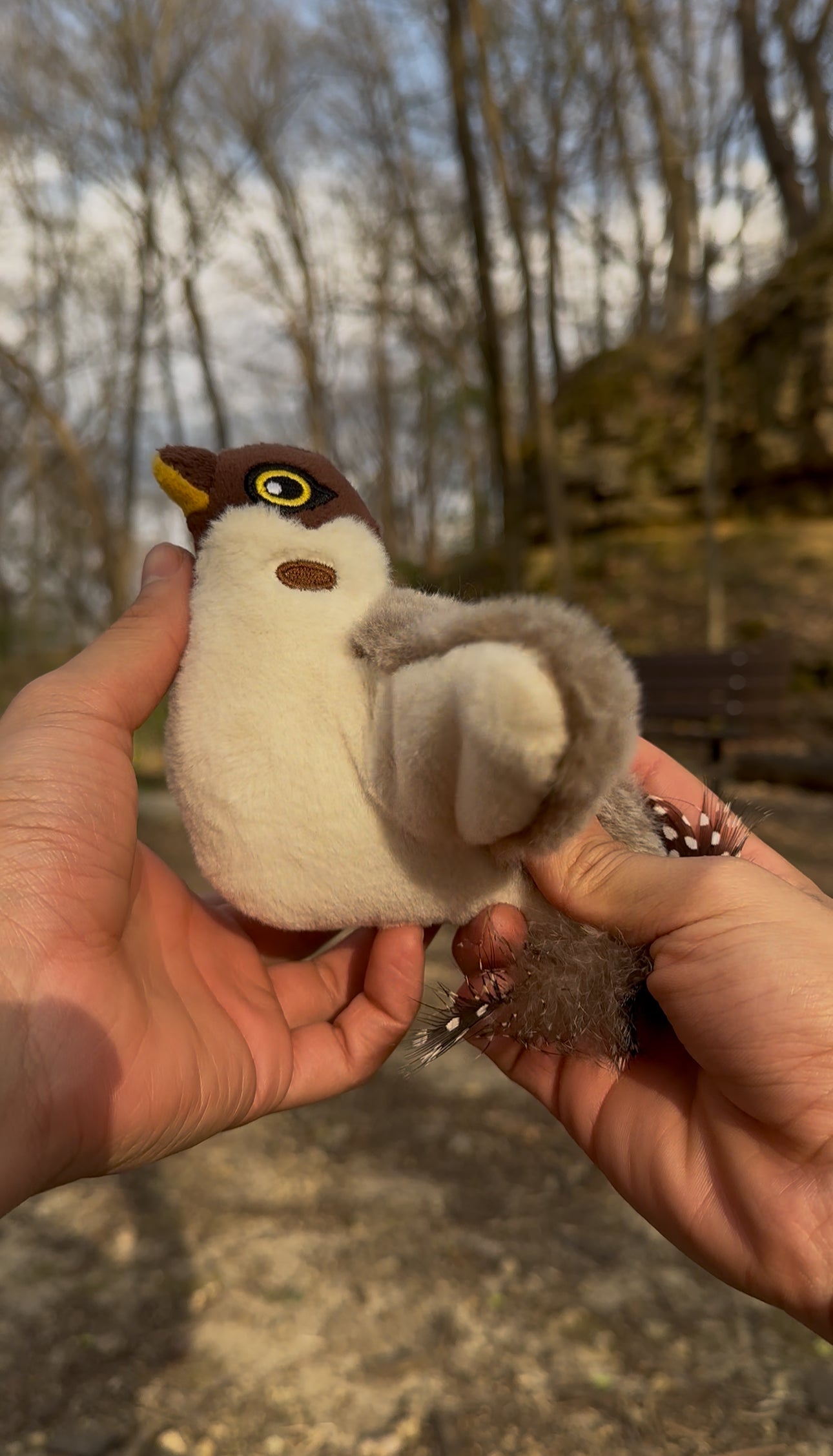 Flappy Birdy Interactive Cat Toy