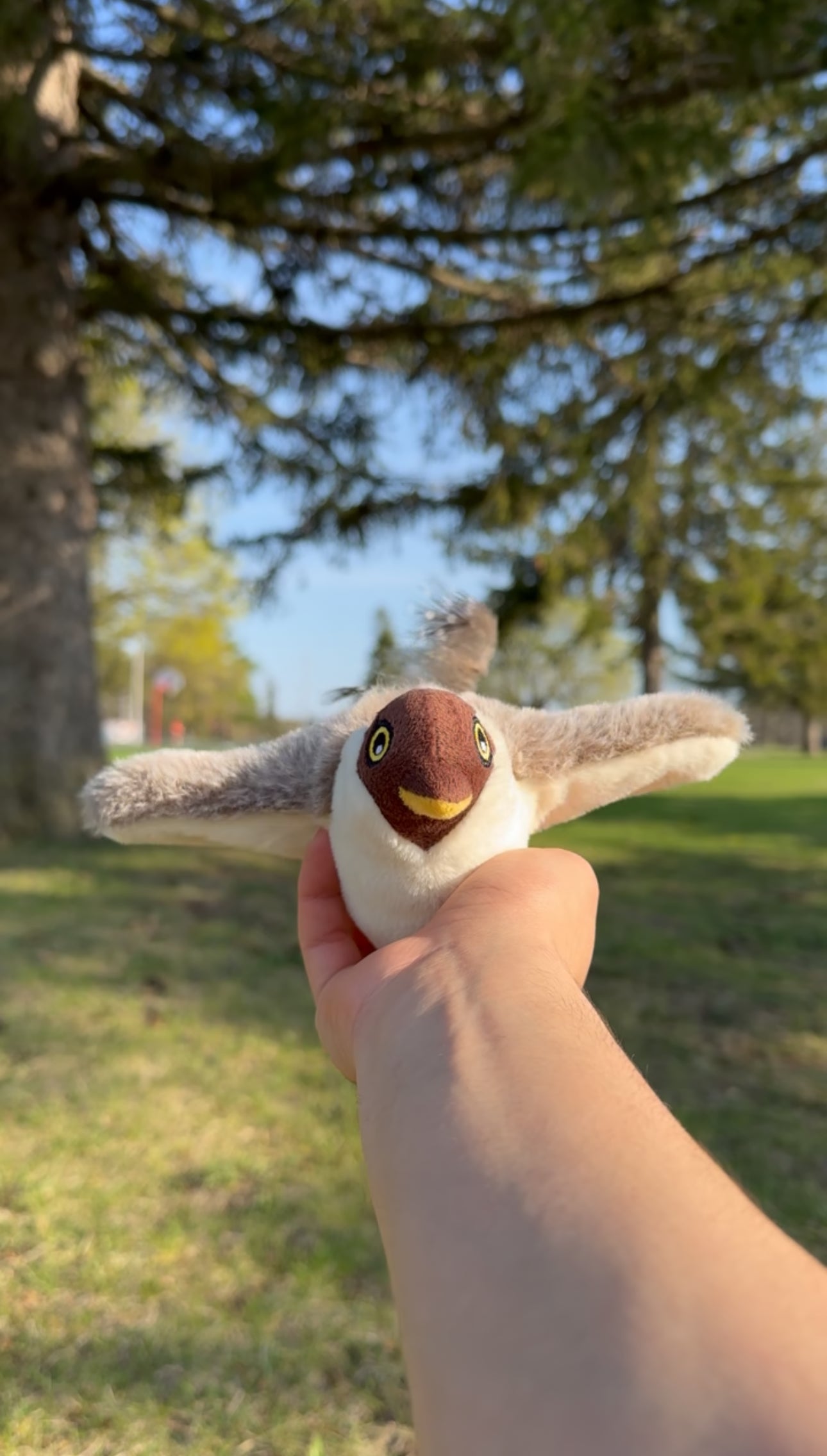Flappy Birdy Interactive Cat Toy